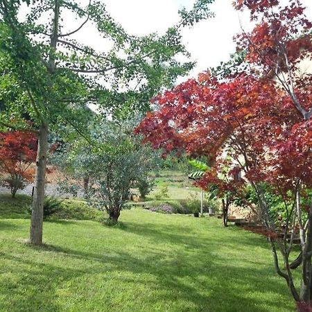 Istanti - Salvia Appartement Costigliole Saluzzo Buitenkant foto