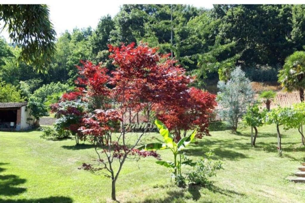 Istanti - Salvia Appartement Costigliole Saluzzo Buitenkant foto